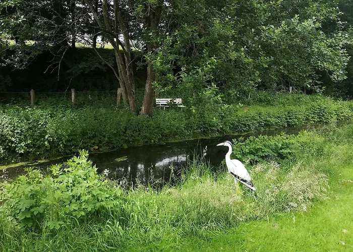 Maison A La Campagne *